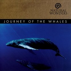 Journey Of The Whales