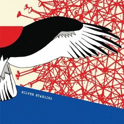Silver Starling (Dig)