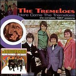 Here Come the Tremeloes: Definitive Collection