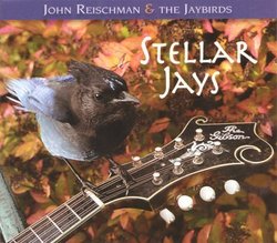 Stellar Jays