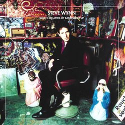 What I Did After My Band Broke Up: The Best of Steve Wynn/Visitation Rights