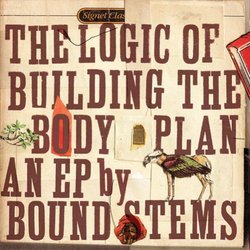 Logic of Building the Body Plan