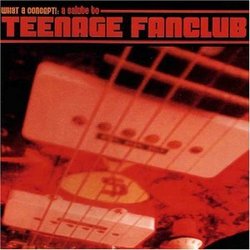 Tribute to Teenage Fanclub: What a Concept