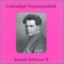 Lebendige Vergangenheit: Joseph Schwarz II