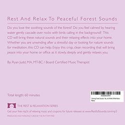 Calming Forest Sounds - Nature Sounds Recording - For Meditation, Relaxation and Creating a Soothing Atmosphere - Nature's Perfect White Noise -