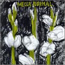 Mecca Normal (1st Album)