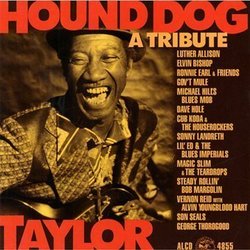 Hound Dog Taylor: Tribute
