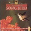 Nature Whispers: Morning Songbird