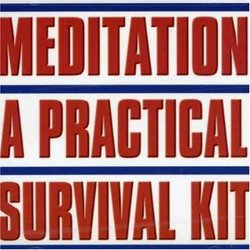 Meditation-Practical Survival