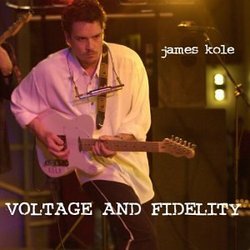 Voltage and Fidelity