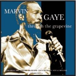 Marvin Gaye Live Through the Grapevine CD