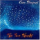 Cave Sleepers: Surf Shark / Over Hill & Date