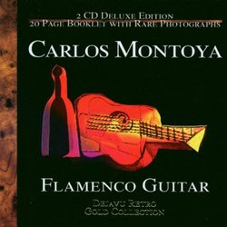 Flamenco Guitar