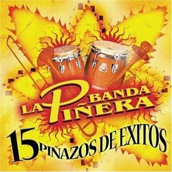 15 Pinazos De Exitos