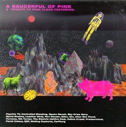 Saucerful of Pink: Tribute to Pink Floyd