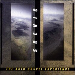 Acid Gospel Experience