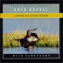 Loons of Echo Pond - Wild Sanctuary