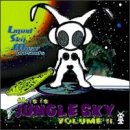 This Is Jungle Sky 2