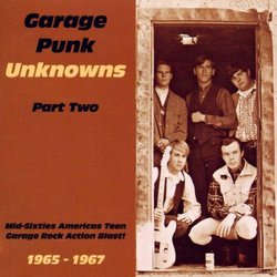 Garage Punk Unknowns Part 2