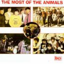 Most of the Animals - Australian Tracks