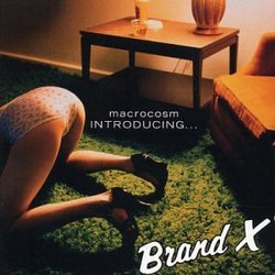 Introducing Brand X