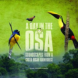 A Day in the Osa: Soundscapes From a Costa Rican Rainforest