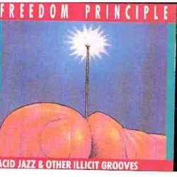 Freedom Principle: Acid Jazz & Other Illicit Grooves