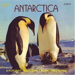 Antarctica: Portrait in Wildlife & Natural Sound