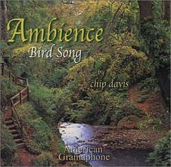 Ambience: Bird Song