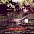 Sounds of the Earth: Loons
