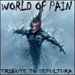 World of Pain