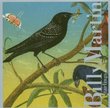 Billy Martin: Starlings