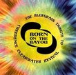Born on the Bayou: The Bluegrass Tribute to Creedence Clearwater Revival