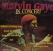 Marvin Gaye In Concert