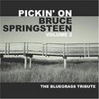 Vol. 2-Pickin' on Springsteen