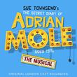 The Secret Diary of Adrian Mole Aged 13 3/4 - The Musical (Original London Cast Recording)