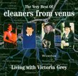 Living With Victoria Grey: Very Best of Cleaners