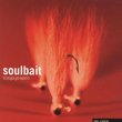 Soulbait - The Single
