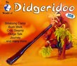 Didgeridoo