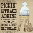 Pickin' on Trace Adkins: Blue