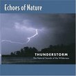 Echoes of Nature: Thunderstorm