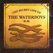 Secret Life of the Waterboys 81-85