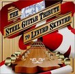 Lynyrd Skynyrd: Steel Guitar Tribute