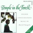 Temple in the Forest (Import)