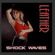 Shock Waves