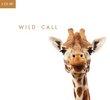 Africa: Wild Call (Spec) (Dig)