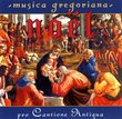 Musica Gregoriana: Noel