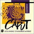 Icelandic Chamber Works: Animato