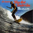Wipe Out Surfer Joe & Other Great Hits