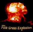 The Folk Grass Explosion